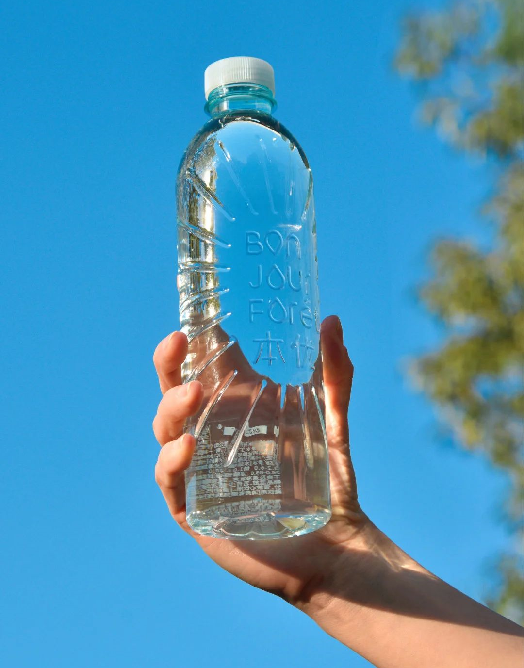 1694155953519350.png 1694155953519350.png