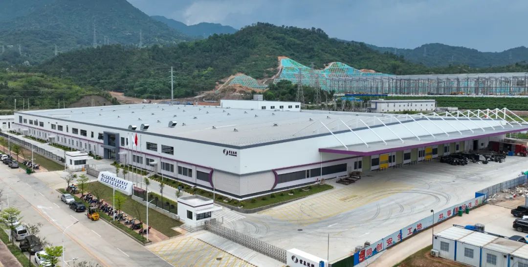 1716521893382294.jpg b.jpg