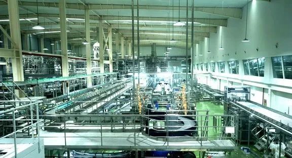 1736385151135313.jpg 9.jpg