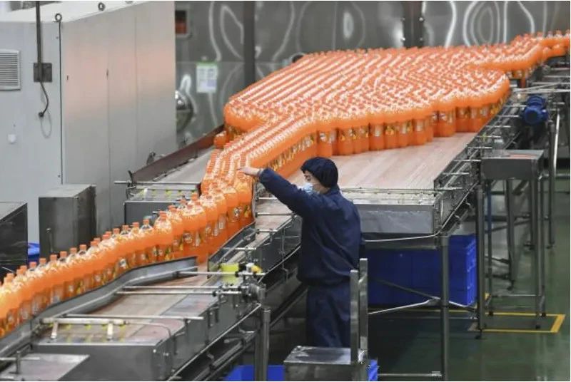 1736385161121547.jpg 10.jpg