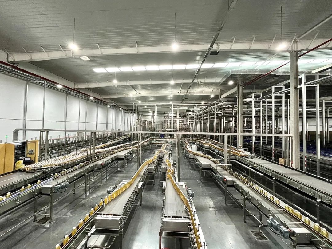 1744593580315638.jpg 3.jpg