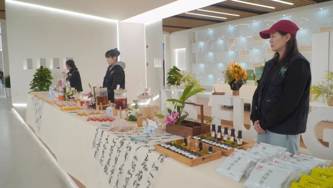 1764315325481439.jpg b.jpg