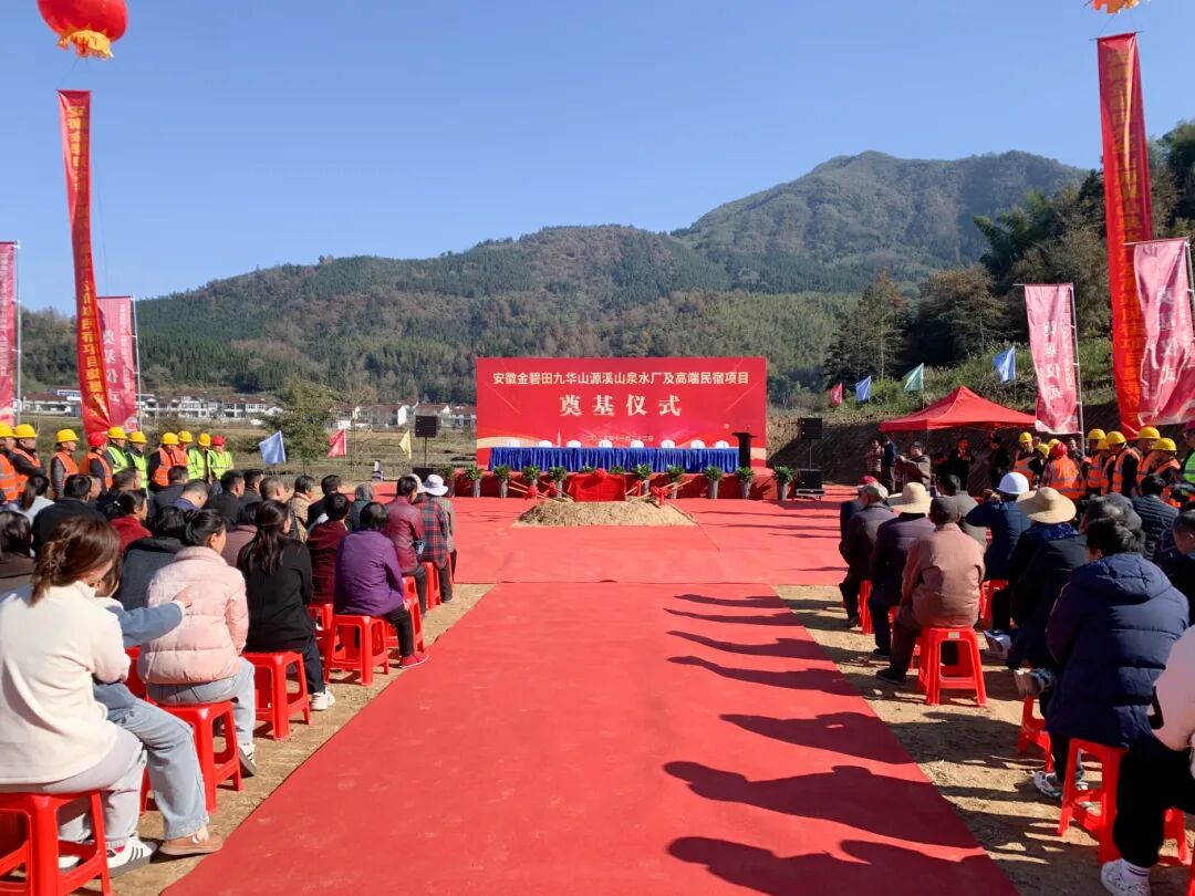 1764315750110488.jpg d3.jpg